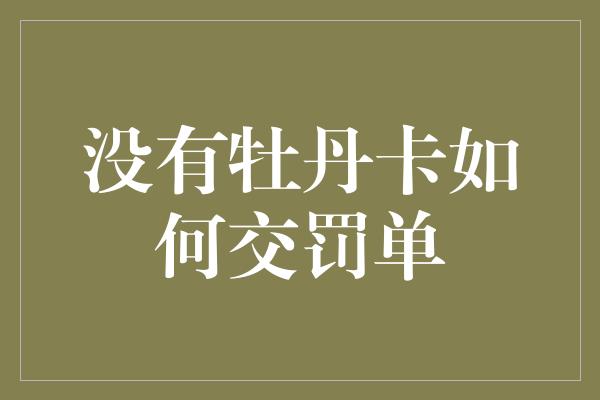 没有牡丹卡如何交罚单