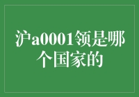 沪A0001领：上海的国民车牌究竟归谁？