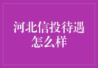 河北信投：金融行业的创新者与职场发展平台