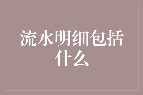 流水明细包括什么