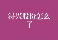 浔兴股份：从缝制设备到拉链制造，转型之路的挑战与机遇