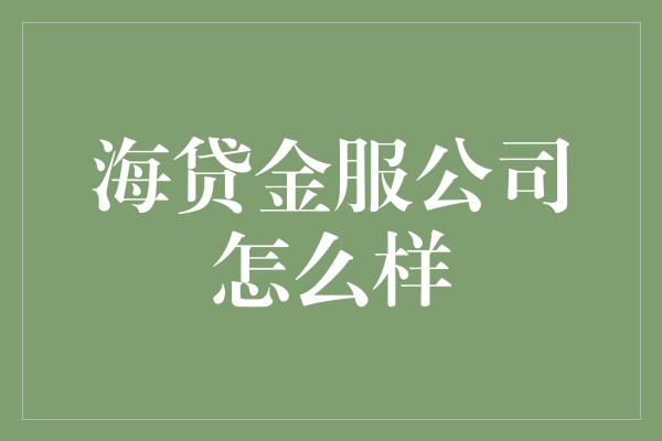 海贷金服公司怎么样