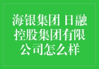 揭秘海银集团日融控股的秘密武器