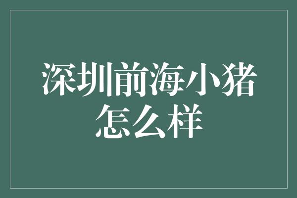 深圳前海小猪怎么样