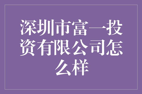 深圳市富一投资有限公司怎么样