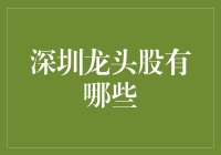 深圳龙头股：引领华南经济的资本市场先锋