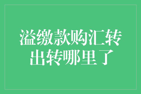 溢缴款购汇转出转哪里了