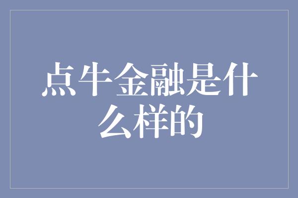 点牛金融是什么样的