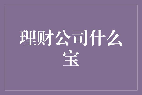 理财公司什么宝