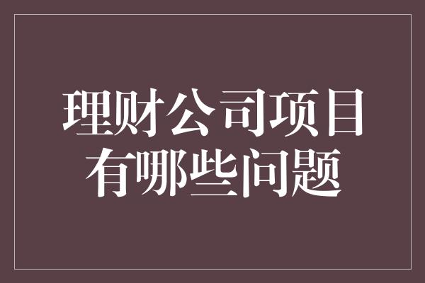 理财公司项目有哪些问题