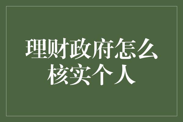 理财政府怎么核实个人