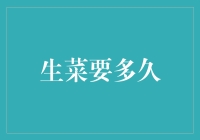 生菜栽培周期：探索从播种到餐桌的奥秘