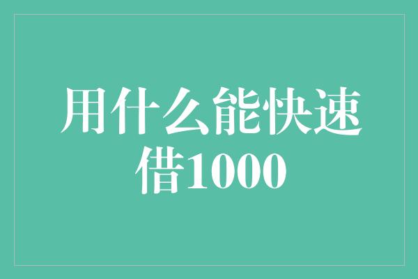 用什么能快速借1000