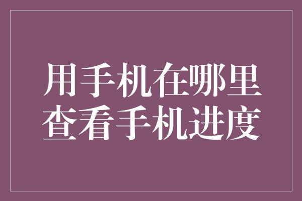 用手机在哪里查看手机进度