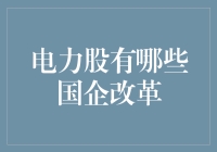 电力股里的国企改革：一场电力公主的奇妙冒险