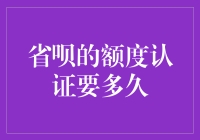 省呗额度认证服务流程解析：从申请到审核的全程揭秘