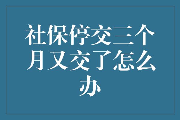 社保停交三个月又交了怎么办