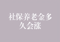 社保养老金上调机制：理论与实践的探索