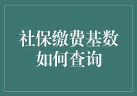 社保缴费基数怎么查？一招教你找到答案！