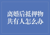 离婚后抵押物共有人的权益保护策略