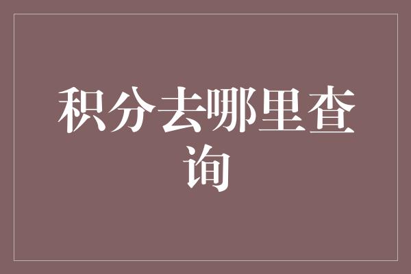 积分去哪里查询