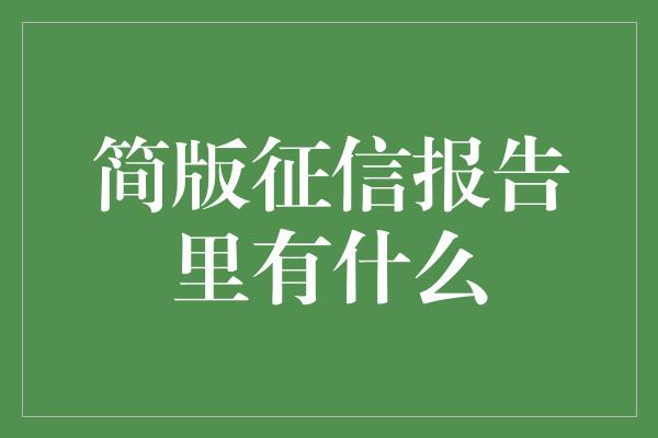 简版征信报告里有什么