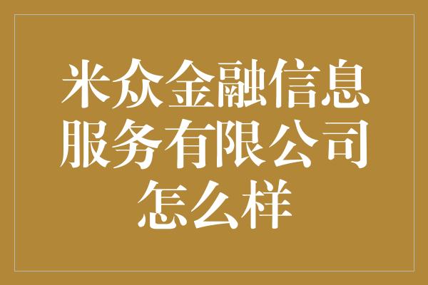 米众金融信息服务有限公司怎么样