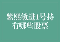 紫熙敏进1号究竟持有什么股票？