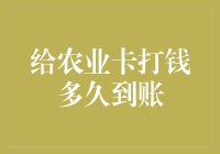 农业卡打钱到账时间解析：从用户到银行的全流程揭秘