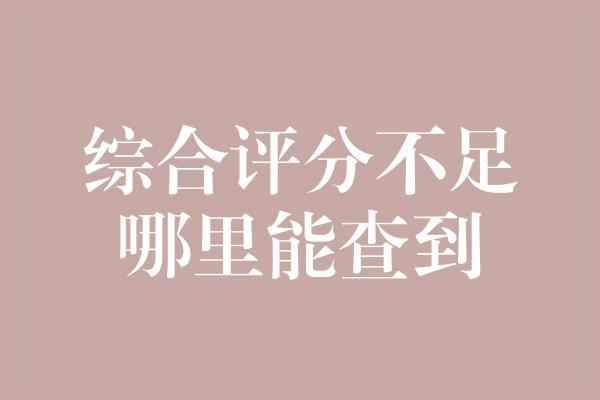 综合评分不足哪里能查到