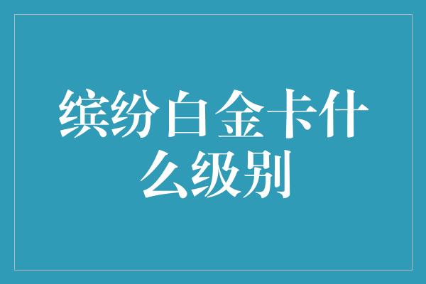 缤纷白金卡什么级别