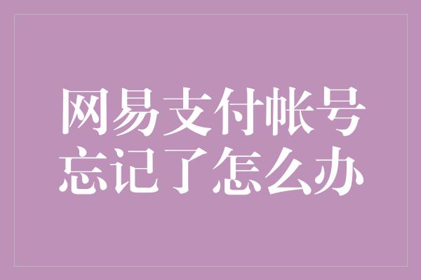 网易支付帐号忘记了怎么办