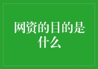 网络资源的本质：构建数字时代的信息桥梁