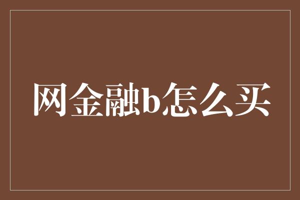 网金融b怎么买