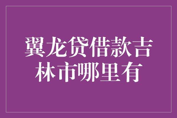 翼龙贷借款吉林市哪里有