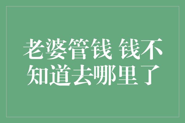 老婆管钱 钱不知道去哪里了