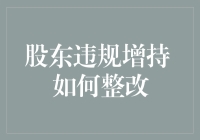 股东违规增持整改策略：合规性与透明性并重