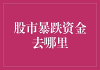 股市暴跌资金流去哪儿了？— 一场股市大逃亡记