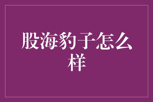 股海豹子怎么样