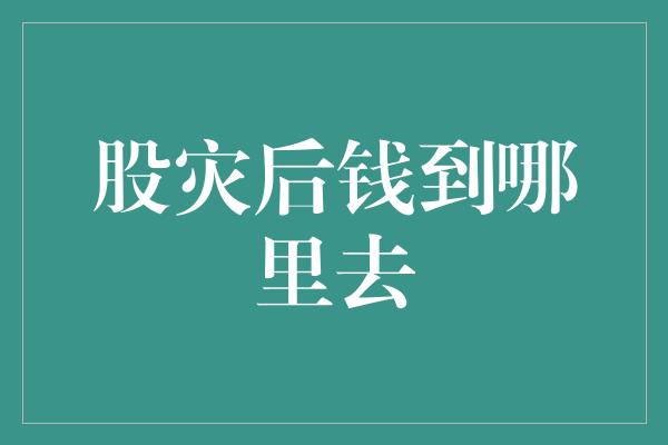 股灾后钱到哪里去