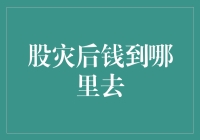 股灾后的资金流向：寻找价值投资的新机遇