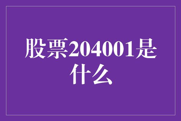 股票204001是什么