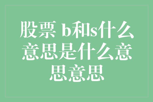 股票 b和s什么意思是什么意思意思