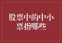 股票中的中小票：投资者不可忽视的潜力股