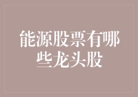 能源转型中的龙头股：从传统到新能源