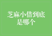 芝麻小借到底是哪个？难道是芝麻开门里的秘密武器？