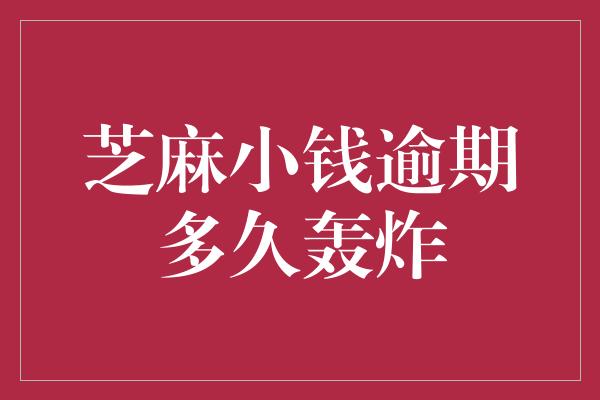 芝麻小钱逾期多久轰炸