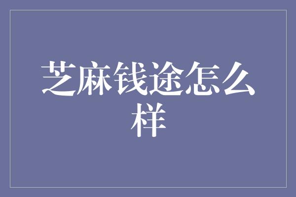 芝麻钱途怎么样