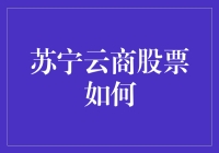 苏宁云商：一只股票的自我修养