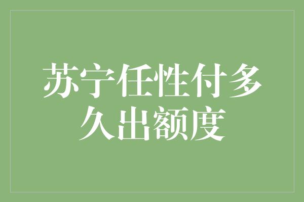 苏宁任性付多久出额度